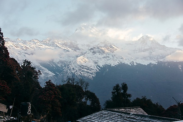 포토 JPG 주간 나무 해외풍경 자연 하늘 지붕 산 풍경 사람없음 야외 눈 만년설 네팔 히말라야 안나푸르나 국내포토 자연요소 식물 해외 아시아 날씨 생태계 파일형식 산맥
