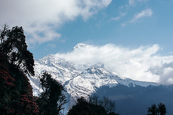 포토 JPG 주간 나무 구름 해외풍경 자연 하늘 산 풍경 사람없음 야외 눈 만년설 네팔 히말라야 안나푸르나 국내포토 자연요소 식물 해외 아시아 날씨 생태계 파일형식 산맥