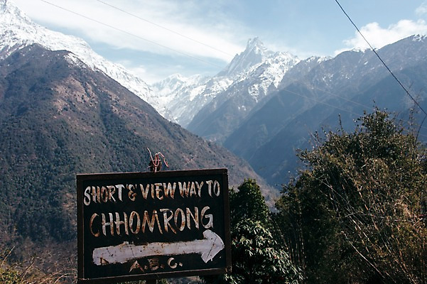 포토 JPG 주간 나무 해외풍경 화살표 자연 하늘 산 풍경 사람없음 야외 눈 표지판 만년설 네팔 히말라야 안나푸르나 국내포토 자연요소 식물 해외 아시아 날씨 알림판 생태계 파일형식 산맥