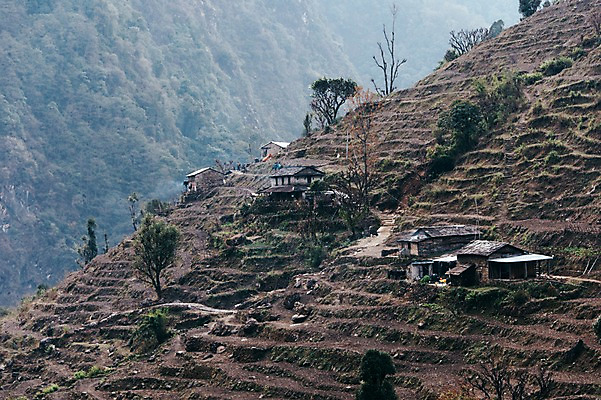 포토 JPG 주간 나무 해외풍경 자연 주택 풍경 사람없음 야외 네팔 안나푸르나 국내포토 자연요소 식물 해외 아시아 산 건물 생태계 파일형식