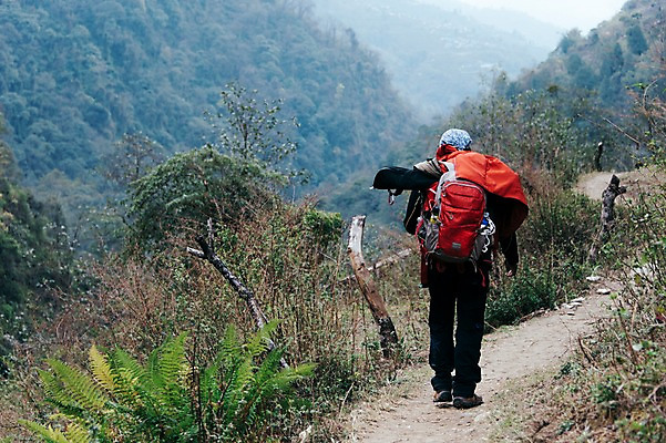 포토 JPG 주간 전신 해외풍경 남자 자연 산 한명 풍경 성인 야외 뒷모습 걷기 등산 네팔 안나푸르나 국내포토 자연요소 1 해외 아시아 뷰포인트 모션 사람 트래킹 생태계 파일형식