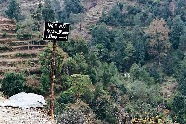 포토 JPG 주간 나무 해외풍경 자연 풍경 사람없음 야외 표지판 네팔 안나푸르나 국내포토 자연요소 식물 해외 아시아 산 알림판 생태계 파일형식