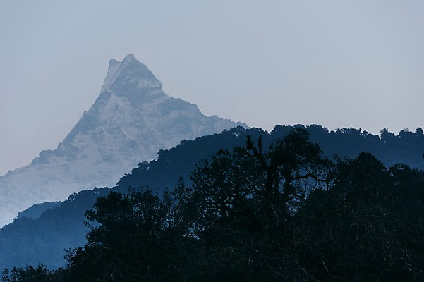 포토 JPG 주간 나무 해외풍경 자연 하늘 산 풍경 사람없음 야외 눈 만년설 네팔 히말라야 안나푸르나 국내포토 자연요소 식물 해외 아시아 날씨 생태계 파일형식 산맥