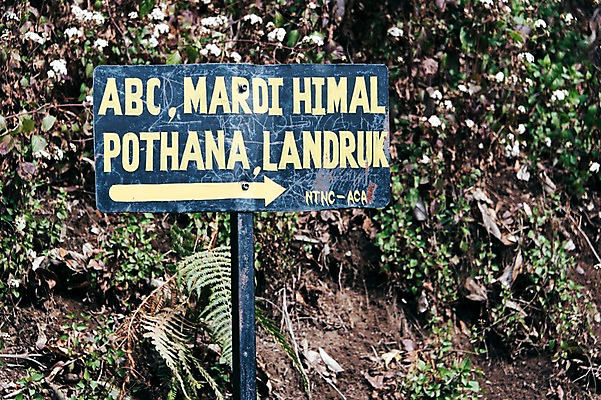 포토 JPG 주간 식물 해외풍경 꽃 화살표 자연 풍경 사람없음 야외 표지판 네팔 안나푸르나 국내포토 자연요소 해외 아시아 산 알림판 생태계 파일형식