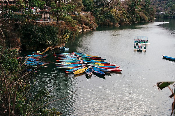 포토 JPG 주간 나무 해외풍경 자연 풍경 사람없음 야외 강 카누 네팔 안나푸르나 국내포토 자연요소 식물 해외 아시아 산 수상스포츠 생태계 파일형식