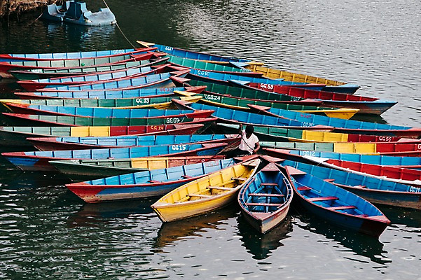포토 JPG 주간 나무 해외풍경 남자 자연 한명 풍경 야외 강 카누 네팔 안나푸르나 국내포토 자연요소 식물 1 해외 아시아 산 사람 수상스포츠 생태계 파일형식