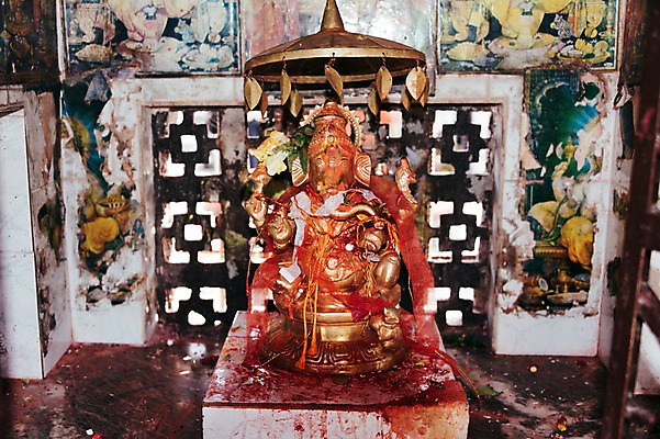 포토 JPG 주간 해외풍경 종교 자연 코끼리 풍경 사람없음 야외 네팔 안나푸르나 국내포토 자연요소 해외 아시아 포유류 산 생태계 파일형식