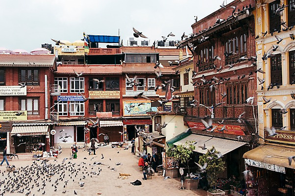 포토 JPG 주간 해외풍경 여러마리 자연 주택 풍경 여러명 야외 여행객 비둘기 네팔 안나푸르나 국내포토 자연요소 해외 아시아 다수 조류 산 사람 건물 생태계 파일형식