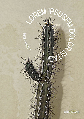 템플릿 표지 선인장 사람없음 프레젠테이션 문서템플릿 서식 레이아웃 문서 제안서 보테니컬아트 이미지템플릿 AI파일 식물 파일형식 벡터