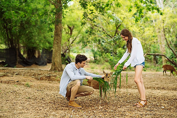 포토 JPG 주간 전신 서양인 커플 응시 공원 여자 남자 여행 두마리 데이트 파타야 태국 자연 사슴 서기 앉기 20대 성인 야외 두명 옆모습 아웃포커스 다정 숲 먹이 주기 성인만 국내포토 자연요소 외국인 시선 공공시설 아시아 뷰포인트 컨셉 2 포유류 관계 모션 촬영기법 사람 청년 생태계 파일형식