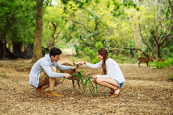 포토 JPG 주간 전신 서양인 커플 공원 여자 남자 여행 데이트 파타야 태국 자연 사슴 미소 앉기 20대 성인 야외 두명 옆모습 아웃포커스 다정 숲 먹이 주기 성인만 국내포토 자연요소 외국인 공공시설 아시아 뷰포인트 컨셉 포유류 관계 모션 촬영기법 표정 사람 청년 생태계 파일형식