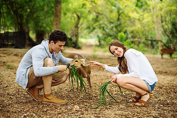 포토 JPG 주간 전신 서양인 커플 응시 공원 여자 남자 여행 데이트 파타야 태국 자연 사슴 미소 앉기 20대 성인 야외 두명 옆모습 아웃포커스 다정 숲 먹이 주기 성인만 국내포토 자연요소 외국인 시선 공공시설 아시아 뷰포인트 컨셉 포유류 관계 모션 촬영기법 표정 사람 청년 생태계 파일형식
