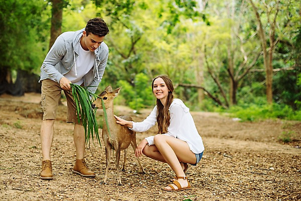 포토 JPG 주간 전신 서양인 한마리 커플 응시 공원 여자 남자 여행 데이트 파타야 태국 자연 사슴 서기 미소 앉기 20대 성인 야외 두명 앞모습 옆모습 아웃포커스 다정 숲 먹이 주기 성인만 국내포토 자연요소 외국인 1 시선 공공시설 아시아 뷰포인트 컨셉 포유류 관계 모션 촬영기법 표정 사람 청년 생태계 파일형식