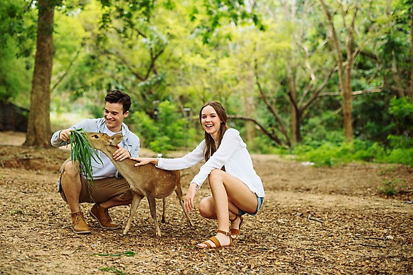 포토 JPG 주간 전신 서양인 한마리 커플 응시 공원 여자 남자 여행 데이트 파타야 태국 자연 사슴 미소 앉기 20대 성인 야외 두명 앞모습 옆모습 아웃포커스 다정 숲 먹이 주기 성인만 국내포토 자연요소 외국인 1 시선 공공시설 아시아 뷰포인트 컨셉 포유류 관계 모션 촬영기법 표정 사람 청년 생태계 파일형식