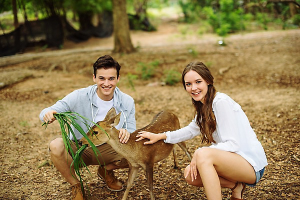 포토 JPG 주간 전신 서양인 한마리 커플 공원 여자 남자 여행 데이트 파타야 태국 자연 사슴 미소 앉기 20대 성인 야외 두명 앞모습 옆모습 아웃포커스 다정 숲 먹이 주기 성인만 국내포토 자연요소 외국인 1 공공시설 아시아 뷰포인트 컨셉 포유류 관계 모션 촬영기법 표정 사람 청년 생태계 파일형식