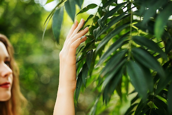 포토 JPG 주간 서양인 나무 손 공원 여자 파타야 태국 자연 나뭇잎 한명 서기 상반신 20대 성인 야외 옆모습 아웃포커스 신체부위 뷰티 만지기 숲 삼림욕 의료성형뷰티 성인여자한명만 국내포토 자연요소 외국인 식물 1 공공시설 아시아 뷰포인트 잎 모션 촬영기법 사람 청년 생태계 여자한명만 성인여자만 파일형식