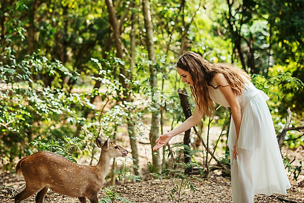 포토 JPG 주간 서양인 나무 한마리 응시 공원 여자 파타야 태국 자연 사슴 한명 서기 상반신 20대 성인 야외 옆모습 아웃포커스 뷰티 숲 먹이 주기 삼림욕 의료성형뷰티 성인여자한명만 국내포토 자연요소 외국인 식물 1 시선 공공시설 아시아 뷰포인트 포유류 모션 촬영기법 사람 청년 생태계 여자한명만 성인여자만 파일형식