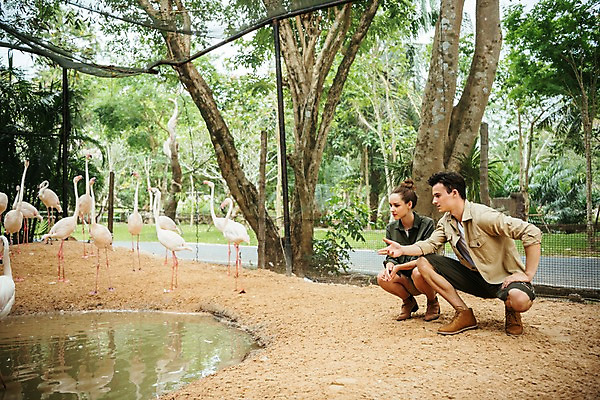 포토 JPG 주간 전신 서양인 직업 응시 공원 여자 남자 여러마리 파타야 태국 동물원 앉기 20대 성인 야외 두명 옆모습 아웃포커스 연못 플라밍고 사육사 국내포토 자연요소 외국인 시선 공공시설 아시아 뷰포인트 다수 모션 조류 촬영기법 사람 청년 파일형식