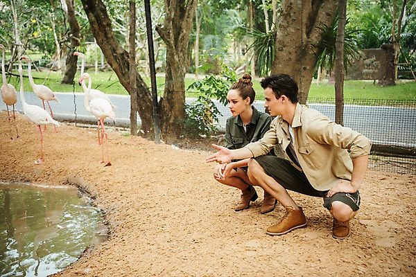 포토 JPG 주간 전신 서양인 직업 응시 공원 여자 남자 여러마리 파타야 태국 동물원 앉기 20대 성인 야외 두명 옆모습 아웃포커스 연못 플라밍고 사육사 국내포토 자연요소 외국인 시선 공공시설 아시아 뷰포인트 다수 모션 조류 촬영기법 사람 청년 파일형식