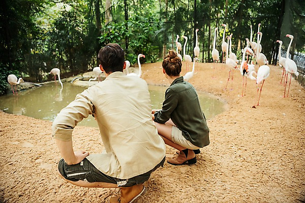포토 JPG 주간 전신 서양인 직업 응시 공원 여자 남자 여러마리 파타야 태국 동물원 앉기 20대 성인 야외 두명 옆모습 뒷모습 아웃포커스 플라밍고 사육사 국내포토 자연요소 외국인 시선 공공시설 아시아 뷰포인트 다수 모션 조류 촬영기법 사람 청년 파일형식
