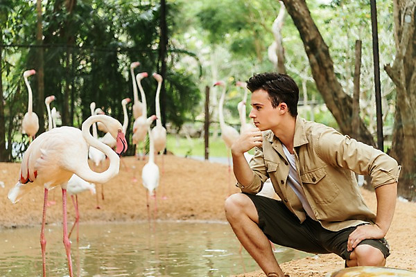포토 JPG 주간 서양인 직업 응시 공원 남자 여러마리 파타야 태국 동물원 한명 앉기 상반신 20대 성인 야외 옆모습 아웃포커스 연못 플라밍고 사육사 성인남자한명만 국내포토 자연요소 외국인 1 시선 공공시설 아시아 뷰포인트 다수 모션 조류 촬영기법 사람 청년 남자한명만 성인남자만 파일형식
