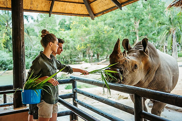 포토 JPG 주간 서양인 직업 한마리 응시 공원 여자 남자 파타야 태국 동물원 서기 들기 상반신 20대 성인 야외 두명 옆모습 아웃포커스 울타리 먹이 주기 코뿔소 사육사 국내포토 자연요소 외국인 1 시선 공공시설 아시아 뷰포인트 포유류 모션 촬영기법 사람 청년 담장 파일형식