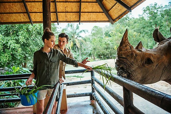포토 JPG 주간 서양인 직업 한마리 응시 공원 여자 남자 파타야 태국 동물원 서기 들기 상반신 20대 성인 야외 두명 옆모습 아웃포커스 울타리 먹이 주기 코뿔소 사육사 국내포토 자연요소 외국인 1 시선 공공시설 아시아 뷰포인트 포유류 모션 촬영기법 사람 청년 담장 파일형식