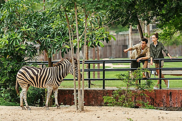 포토 JPG 주간 전신 서양인 나무 직업 한마리 공원 여자 남자 파타야 태국 동물원 서기 20대 성인 야외 두명 앞모습 아웃포커스 울타리 가리킴 얼룩말 사육사 국내포토 자연요소 외국인 식물 1 공공시설 아시아 뷰포인트 모션 촬영기법 사람 손짓 청년 담장 말_동물 파일형식