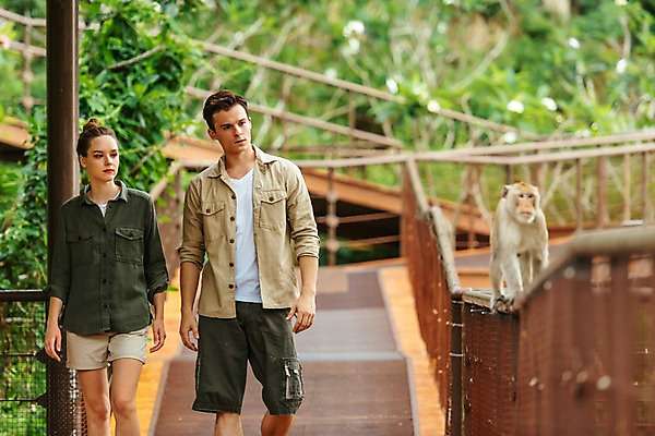 포토 JPG 주간 서양인 나무 직업 한마리 응시 공원 여자 남자 난간 파타야 태국 동물원 서기 상반신 20대 성인 야외 두명 앞모습 아웃포커스 원숭이 사육사 국내포토 자연요소 외국인 식물 1 시선 공공시설 아시아 뷰포인트 포유류 모션 촬영기법 사람 청년 파일형식