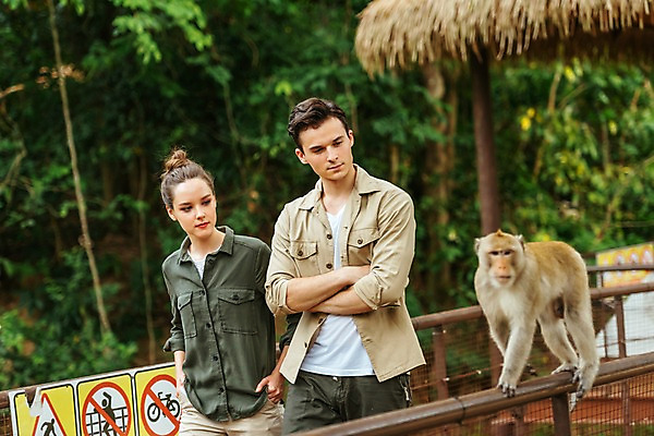 포토 JPG 주간 서양인 나무 직업 한마리 응시 공원 여자 남자 난간 파타야 태국 동물원 서기 상반신 20대 성인 야외 두명 앞모습 아웃포커스 팔짱 원숭이 사육사 국내포토 자연요소 외국인 식물 1 시선 공공시설 아시아 뷰포인트 포유류 모션 촬영기법 사람 청년 파일형식