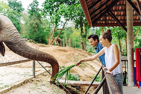 포토 JPG 주간 서양인 한마리 커플 응시 공원 여자 남자 데이트 난간 파타야 태국 동물원 서기 미소 들기 상반신 20대 성인 야외 두명 옆모습 아웃포커스 울타리 먹이 주기 국내포토 자연요소 외국인 1 시선 공공시설 아시아 뷰포인트 관계 모션 촬영기법 표정 사람 청년 담장 파일형식
