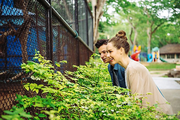 포토 JPG 주간 서양인 나무 커플 응시 공원 여자 남자 데이트 파타야 태국 동물원 서기 미소 상반신 20대 성인 야외 두명 옆모습 아웃포커스 철장 국내포토 자연요소 외국인 식물 시선 공공시설 아시아 뷰포인트 관계 모션 촬영기법 표정 사람 청년 파일형식