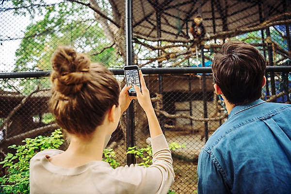 포토 JPG 주간 서양인 커플 공원 여자 남자 데이트 파타야 태국 동물원 서기 들기 상반신 20대 성인 야외 두명 뒷모습 아웃포커스 스마트폰 울타리 사진촬영 원숭이 철장 국내포토 자연요소 외국인 공공시설 아시아 뷰포인트 포유류 관계 모션 촬영기법 사람 청년 핸드폰 스마트기기 담장 촬영 파일형식