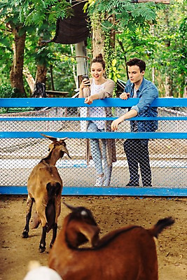 포토 JPG 주간 전신 서양인 커플 응시 공원 여자 남자 두마리 데이트 파타야 태국 동물원 서기 미소 들기 20대 성인 야외 두명 앞모습 아웃포커스 스마트폰 울타리 사진촬영 산양 국내포토 자연요소 외국인 시선 공공시설 아시아 뷰포인트 2 관계 모션 촬영기법 표정 사람 청년 핸드폰 스마트기기 담장 촬영 양 멸종위기동물 파일형식