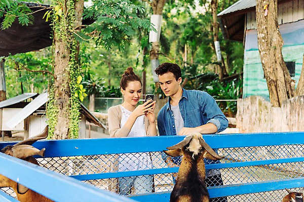 포토 JPG 주간 서양인 커플 응시 공원 여자 남자 데이트 파타야 태국 동물원 서기 미소 들기 상반신 20대 성인 야외 두명 앞모습 아웃포커스 스마트폰 울타리 사진촬영 먹이 주기 산양 국내포토 자연요소 외국인 시선 공공시설 아시아 뷰포인트 관계 모션 촬영기법 표정 사람 청년 핸드폰 스마트기기 담장 촬영 양 멸종위기동물 파일형식