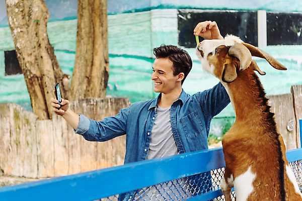 포토 JPG 주간 서양인 한마리 응시 공원 남자 파타야 태국 동물원 한명 서기 미소 들기 상반신 20대 성인 야외 앞모습 아웃포커스 스마트폰 울타리 사진촬영 먹이 셀프카메라 주기 산양 성인남자한명만 국내포토 자연요소 외국인 1 시선 공공시설 아시아 뷰포인트 모션 촬영기법 표정 사람 청년 핸드폰 스마트기기 담장 촬영 양 멸종위기동물 남자한명만 성인남자만 파일형식