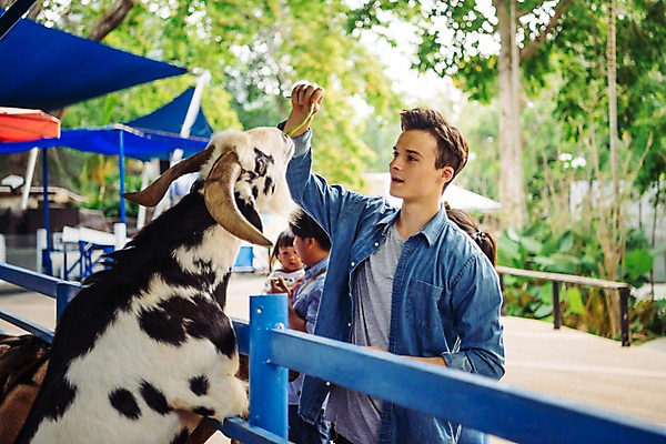 포토 JPG 주간 서양인 외국인 한마리 응시 공원 남자 파타야 태국 동물원 서기 미소 들기 여러명 상반신 20대 성인 야외 앞모습 아웃포커스 울타리 먹이 주기 산양 국내포토 자연요소 1 시선 공공시설 아시아 뷰포인트 다수 모션 촬영기법 표정 사람 인종 청년 담장 양 멸종위기동물 파일형식