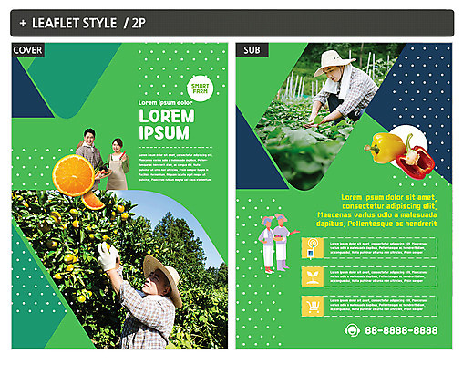 템플릿 여자 남자 ZIP 포스터 40대 중년 50대 피망 여러명 성인 30대 한국인 농부 전단템플릿 전단 인디자인 INDD 이미지템플릿 직업 다수 채소 사람 동양인 장년 홍보물 파일형식