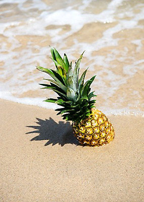 포토 JPG 주간 모래 바다 휴가 휴식 풍경 사람없음 야외 여름 모래사장 여름풍경 파인애플 국내포토 자연요소 계절 컨셉 과일 열대과일 파일형식 여름_계절