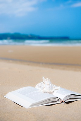 포토 JPG 주간 모래 바다 휴가 조개 휴식 풍경 사람없음 야외 아웃포커스 책 여름 모래사장 여름풍경 국내포토 자연요소 계절 컨셉 어패류 촬영기법 파일형식 여름_계절