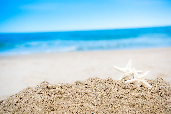 포토 JPG 주간 모래 바다 휴가 휴식 불가사리 풍경 사람없음 야외 아웃포커스 여름 모래사장 여름풍경 국내포토 자연요소 계절 컨셉 극피동물 촬영기법 파일형식 여름_계절