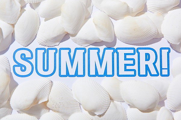 포토 JPG 스튜디오촬영 조개 실내 사람없음 여름 여름휴가 바캉스 껍질 흰색 조개껍데기 국내포토 계절 컬러 휴가 어패류 내부 파일형식 여름_계절