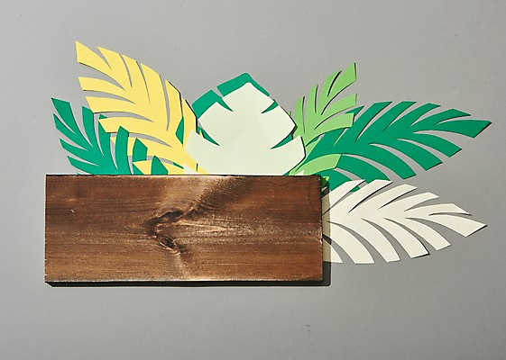 포토 JPG 스튜디오촬영 나무 나뭇잎 실내 사람없음 여름 여름휴가 바캉스 나무판자 국내포토 식물 계절 잎 휴가 내부 목재 파일형식 여름_계절