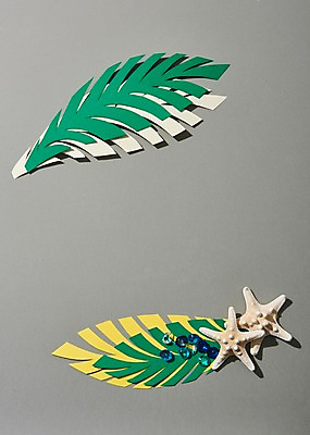 포토 JPG 스튜디오촬영 나뭇잎 불가사리 실내 사람없음 여름 여름휴가 바캉스 국내포토 계절 잎 휴가 극피동물 내부 파일형식 여름_계절