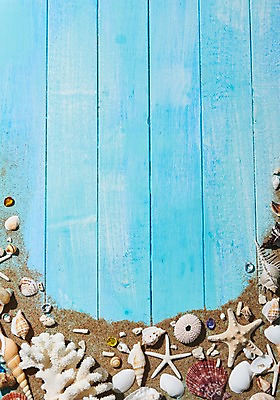 포토 JPG 스튜디오촬영 모래 조개 불가사리 프레임 실내 사람없음 목재 나뭇결 여름 여름휴가 바캉스 조개껍데기 산호 나무배경 국내포토 나무 계절 백그라운드 재료 휴가 어패류 극피동물 내부 자포동물 파일형식 여름_계절