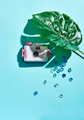 포토 JPG 스튜디오촬영 나뭇잎 실내 그림자 사람없음 여름 여름휴가 바캉스 카메라 몬스테라 국내포토 식물 계절 잎 휴가 내부 전자제품 파일형식 여름_계절