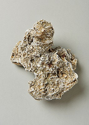 포토 JPG 스튜디오촬영 실내 사람없음 여름 돌_바위 국내포토 계절 내부 파일형식