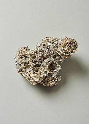 포토 JPG 스튜디오촬영 실내 사람없음 여름 돌_바위 국내포토 계절 내부 파일형식