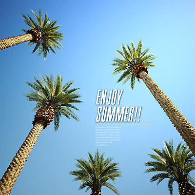 주간 PSD 편집이미지 로우앵글 하늘 사람없음 야외 그래픽 여름 야자수 3D 디지털합성 편집3D 자연요소 나무 계절 뷰포인트 파일형식