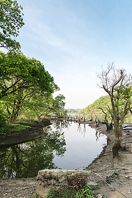 포토 JPG 주간 나무 공원 호수 자연 하늘 한국 풍경 사람없음 야외 초록색 반사 숲 가뭄 대전 대청공원 국내포토 자연요소 식물 공공시설 아시아 컬러 날씨 생태계 파일형식